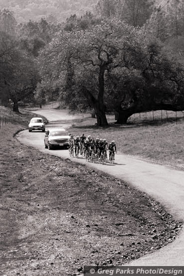 DSC_2007-02-01-133334_BW